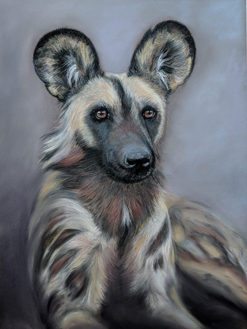 African Painted Dog Ltd Ed Print