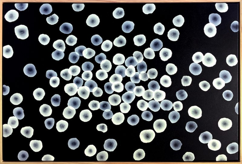 Aqueous Flow – Drift