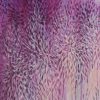 Artist Leni Kae Close Up Detail Love Through Purple Haze Art Pharmacy
