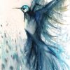 Artist Leni Kae Flight Of The Hummingbird Bird Art On Paper Original