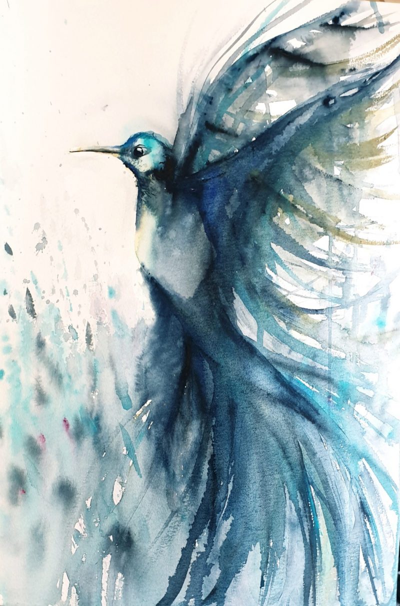 Flight of the Hummingbird