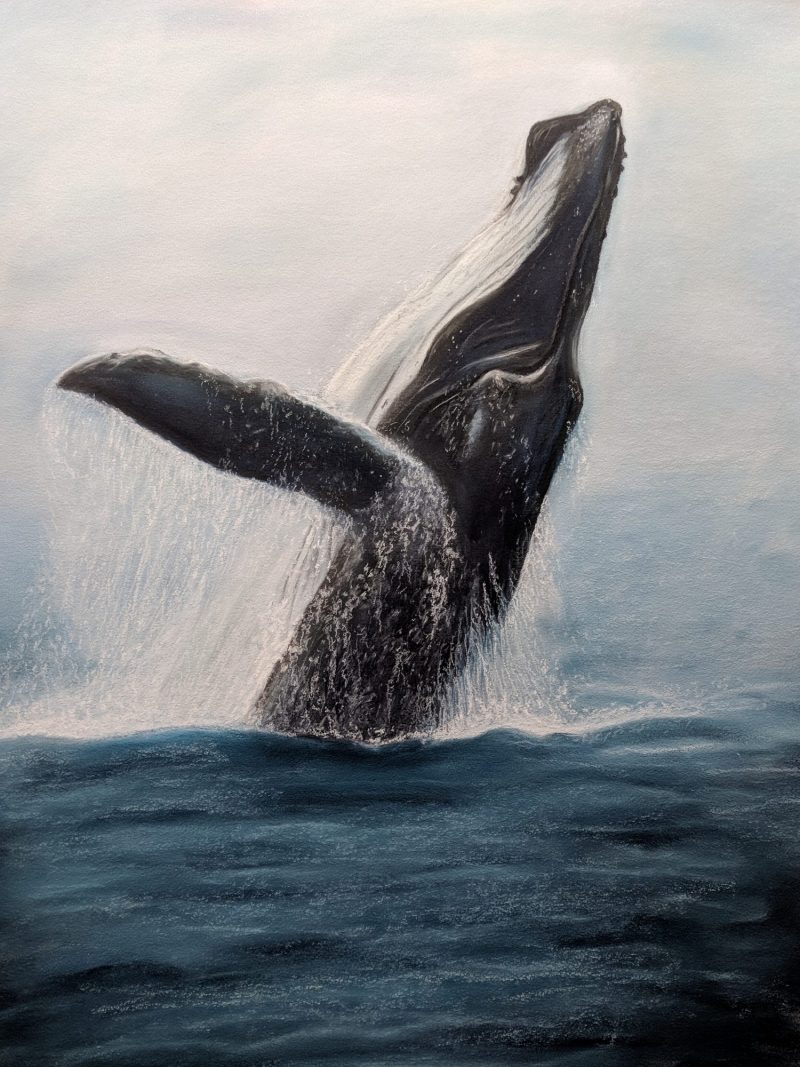 Humpback Happiness Ltd Ed Print