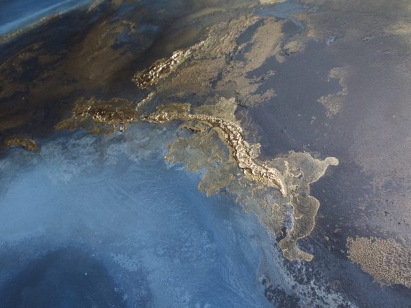 "oceania" Close Up Petra Meikle De Vlas