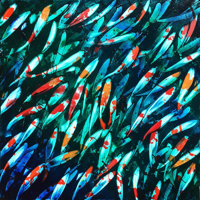 Plenty Of Fish In The Pond