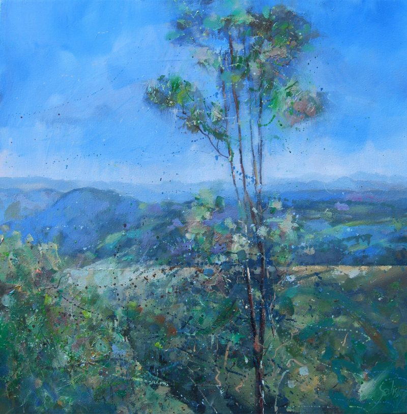 Witches Falls Tamborine Mountain