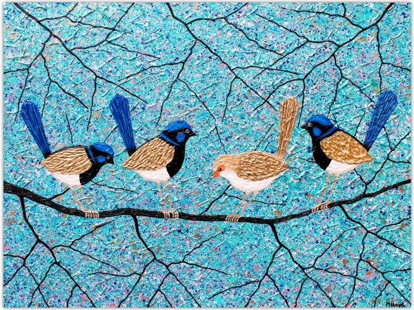 Blue Wrens Fairy Wrens Miranda Lloyd Artist Australia