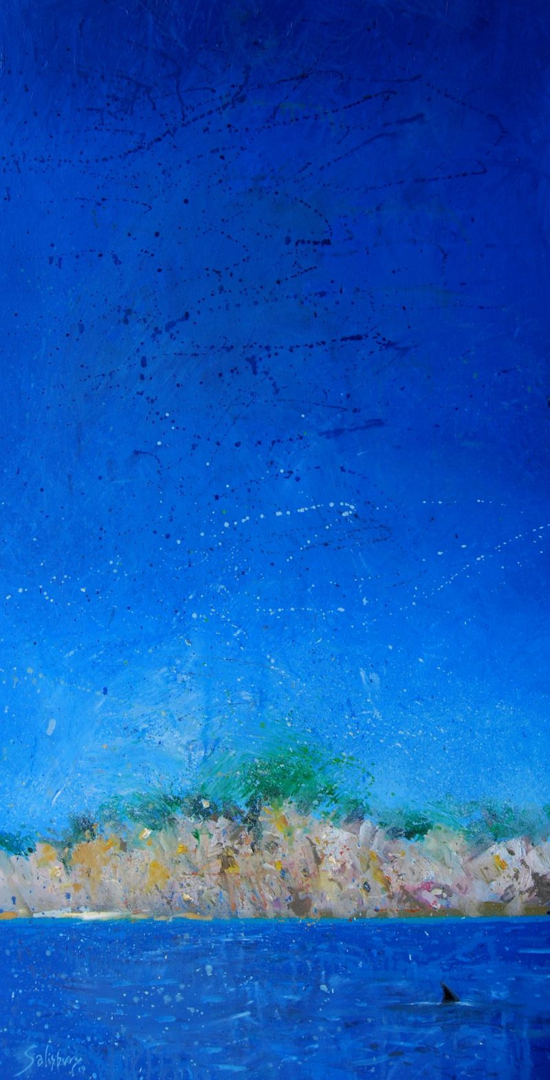 Skipped the morning swim