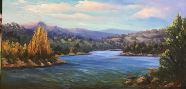 20190015 Near Lake Jindabyne