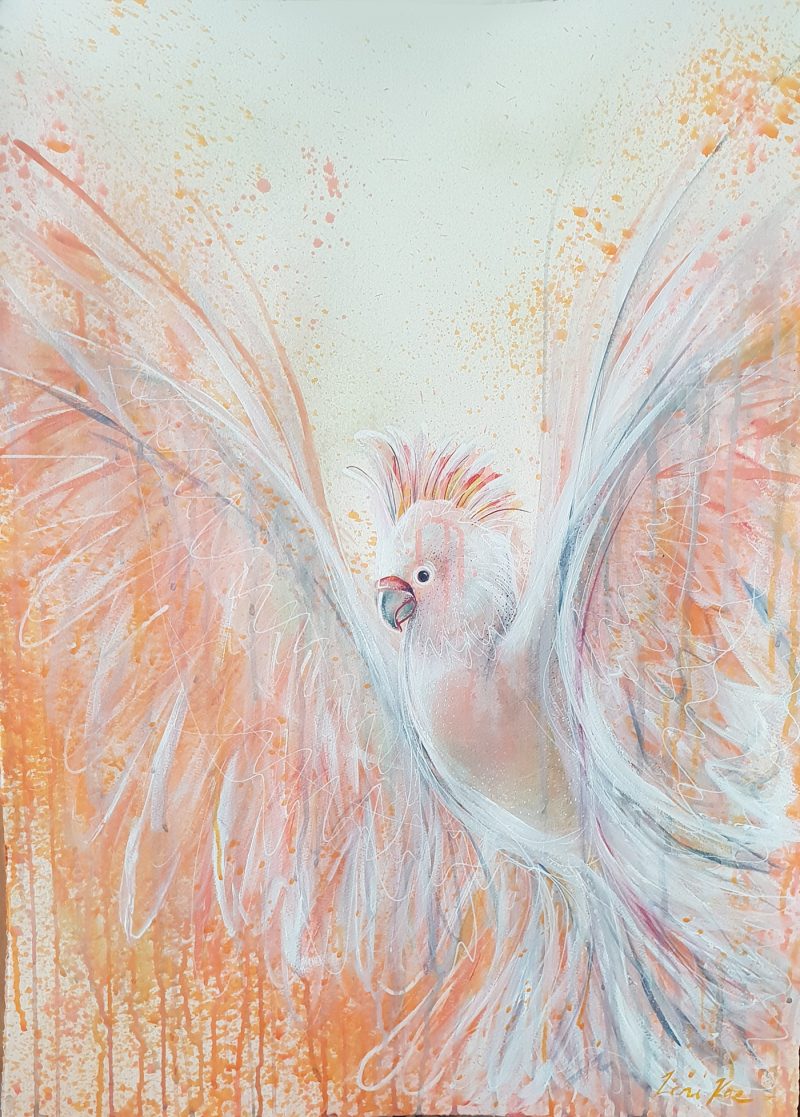 Ascension of the Pink Cockatoo