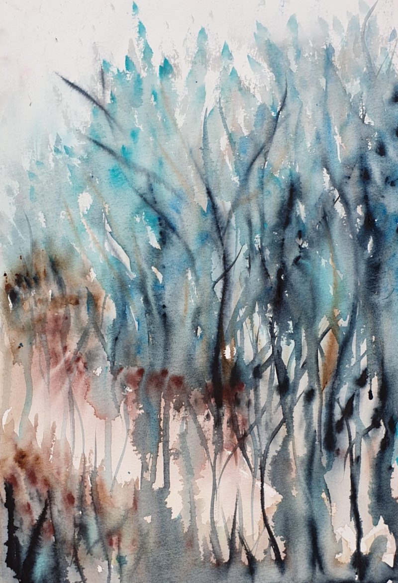 Morning Light Through the Trees