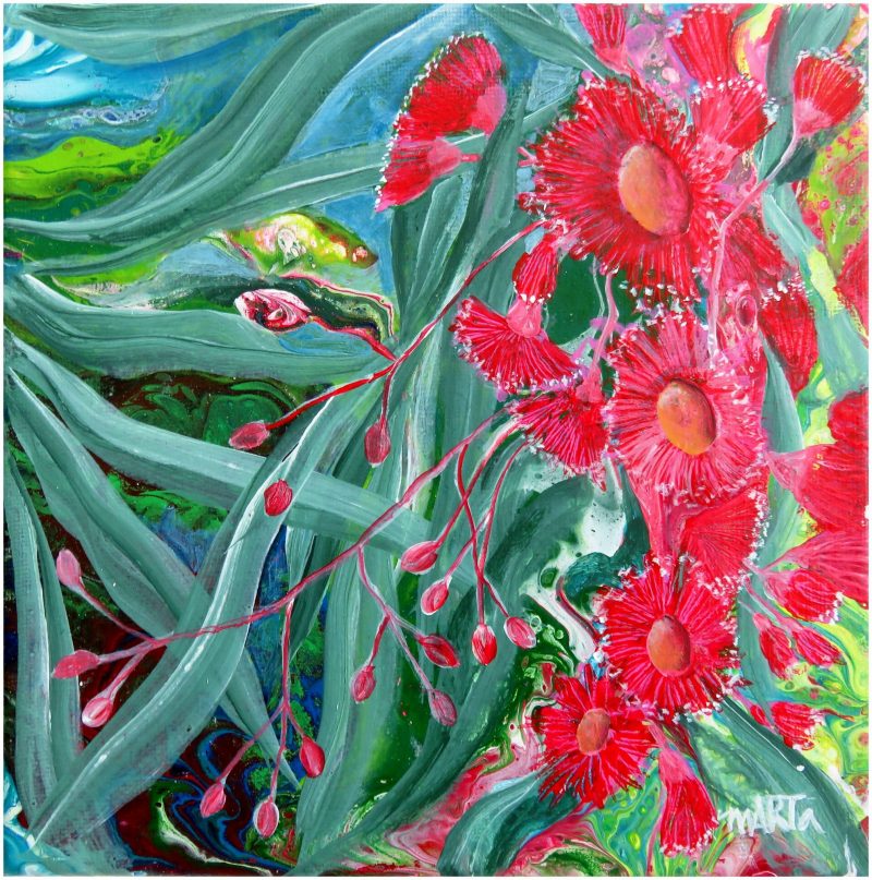 Australian Red Flowering Gum – SOLD