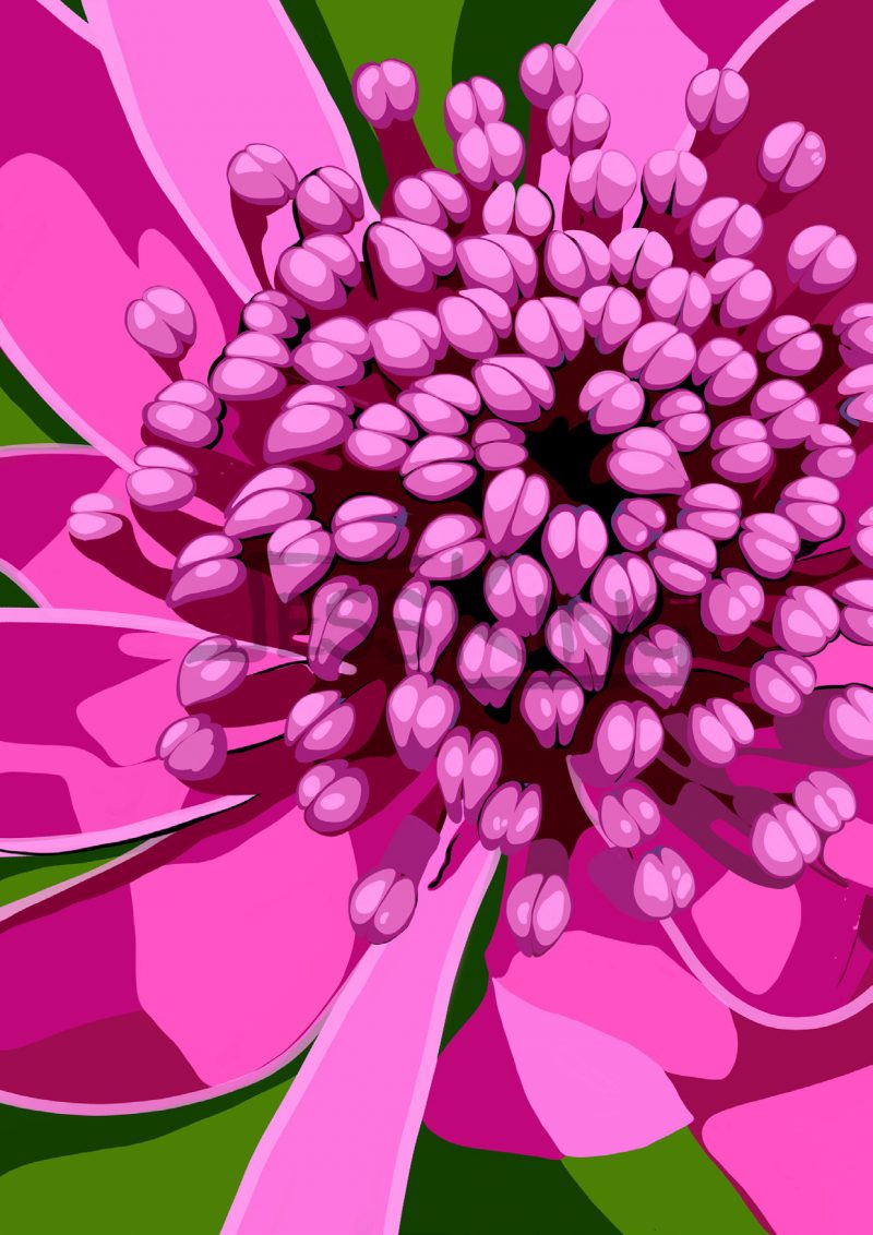 Waratah Ltd Ed Print