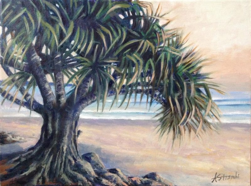 A Pandanus Study
