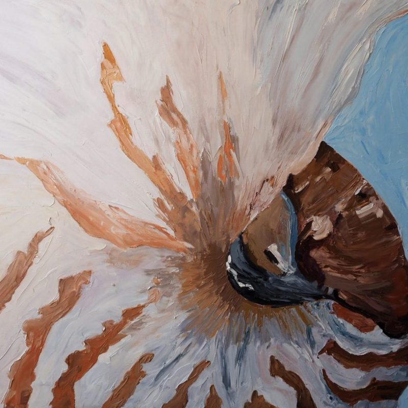 Nautilus Exposed Carmen Griffen Art Lovers 1024x816