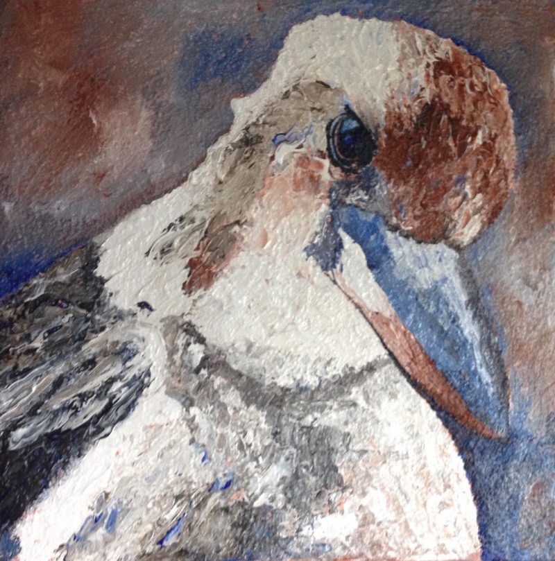 Kookaburra Watch No 2