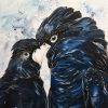 Black Cockatoo Love