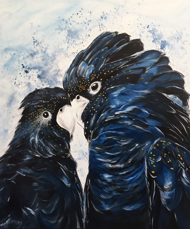 Black Cockatoo Love
