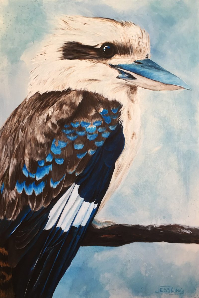 Kookaburra Blues