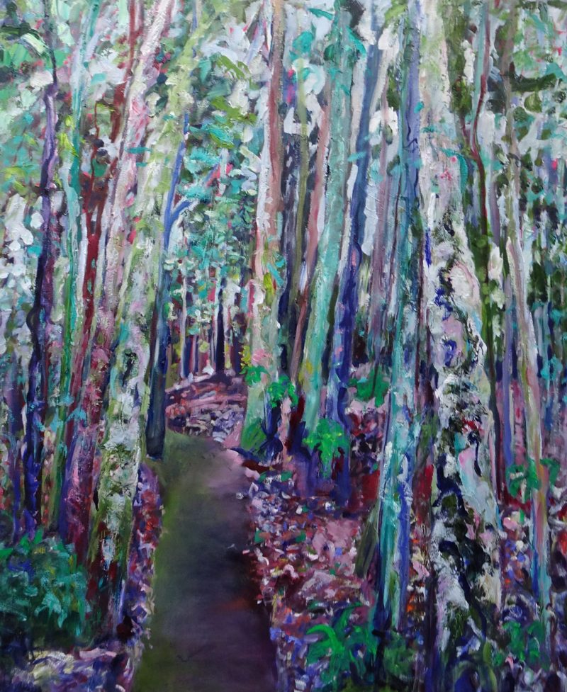 Rain Forest, Dorrigo National Park