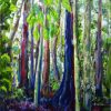 Dorrigo National Park Trees 1 (2)