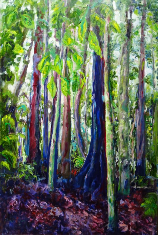 Dorrigo National Park Trees 1 (2)