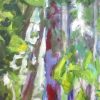 Dorrigo State Forest 1 Closeup2