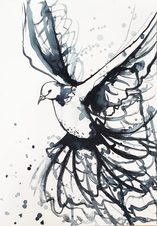 Artist Leni Kae In Flight Minimalistic Bird Line Art Watercolour On Paper With Mount