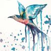 Leni Kae Red Belly Bluebird Watercolour Painting