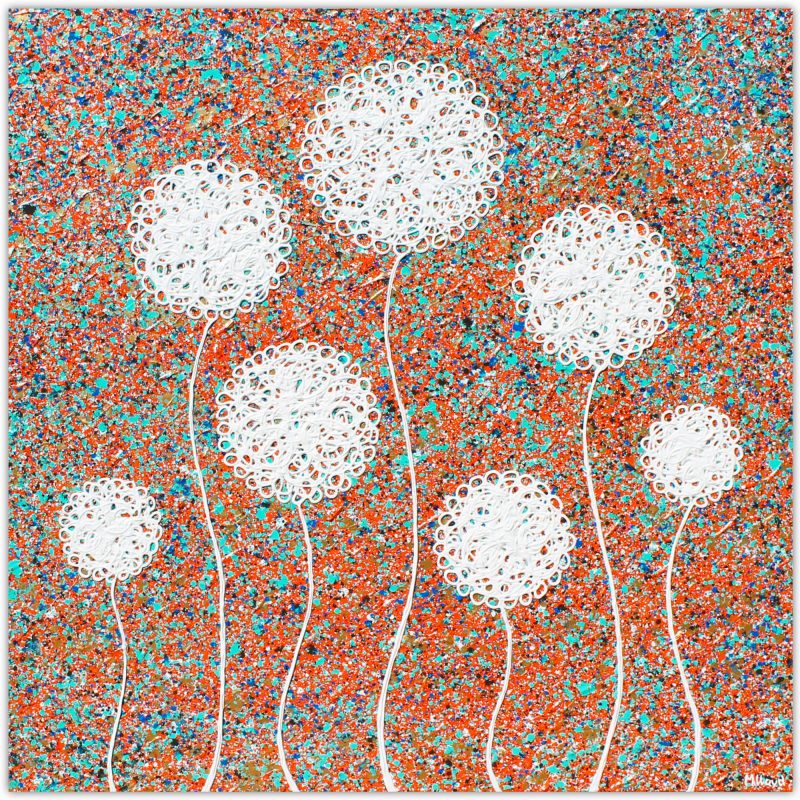 Outback Wild Flowers