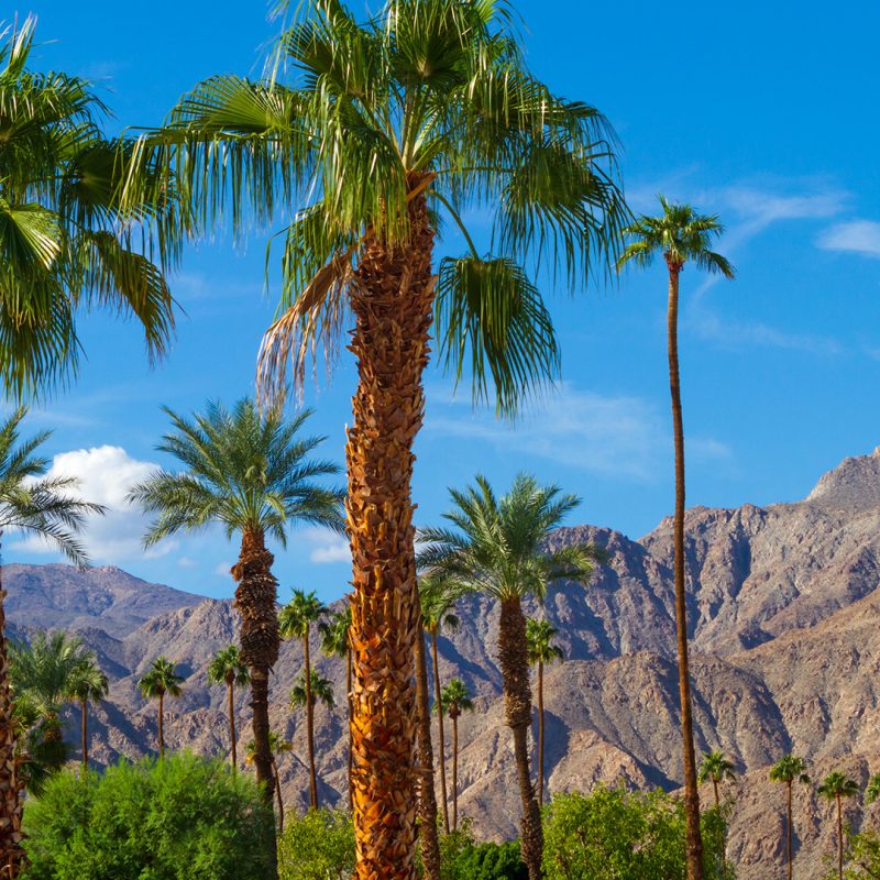 Palm Springs