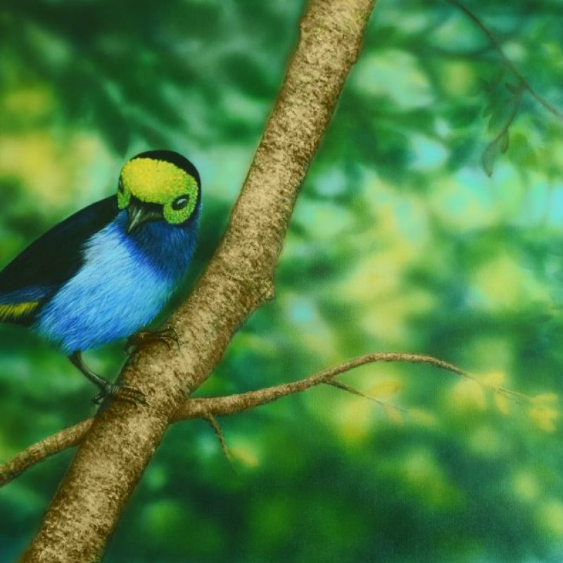 Paradise New2 1024x633