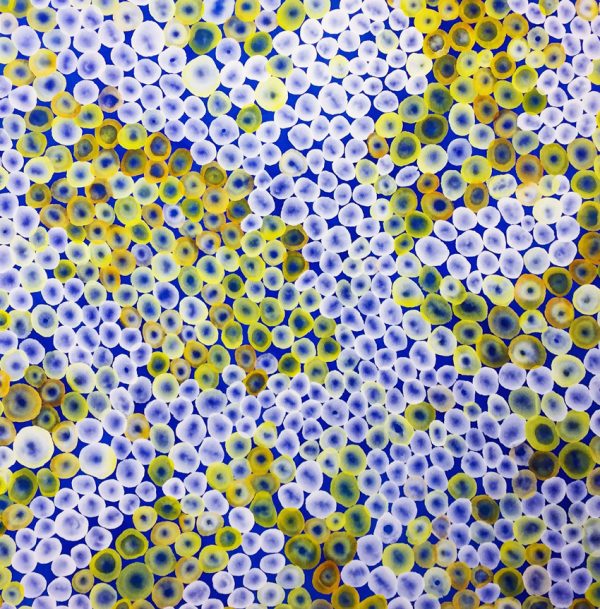 Aqua Vitae Drift I E