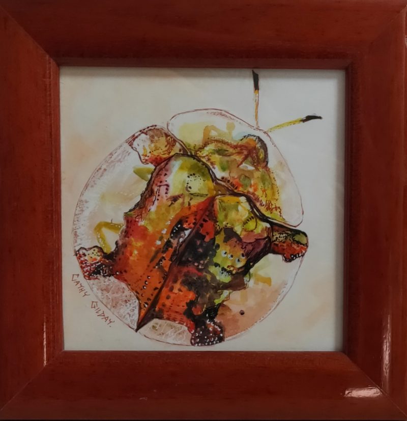 Golden Tortoise Beetle Miniature