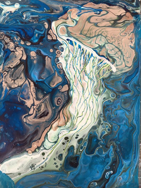 Jellyfish 1