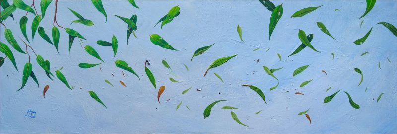 Wind in the gum trees