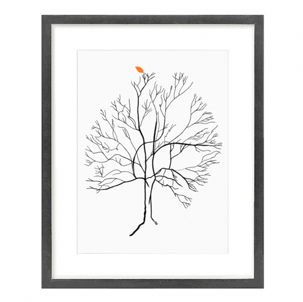 Australis Tree White