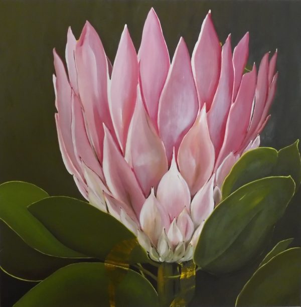 Kim Rees Pink Protea