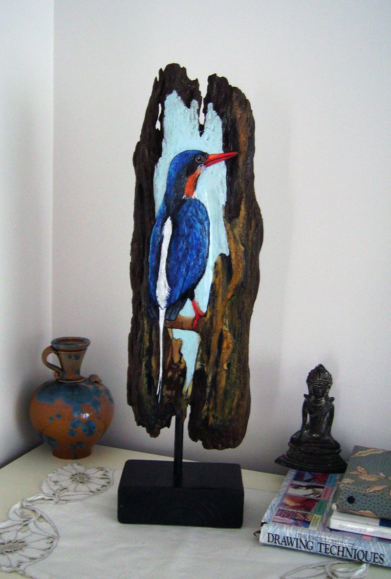 Australian Kingfisher