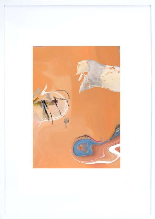 Living Desert Framed