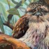 Sleepy Frogmouth