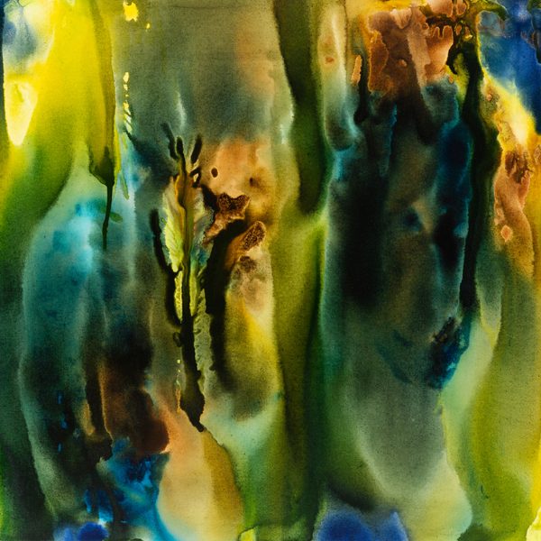 Aqueous Reef Flow V 72dpi 1.2mb Bf