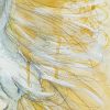 Artist Leni Kae Detail Flight Of The Sulphur Crested Cockatoo 59x42cm Yellow White
