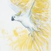 Artist Leni Kae Flight Of The Sulphur Crested Cockatoo 59x42cm Yellow White Sm 2