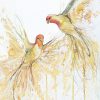 Artist Leni Kae Joy In Flight (sun Conures Flying) 2