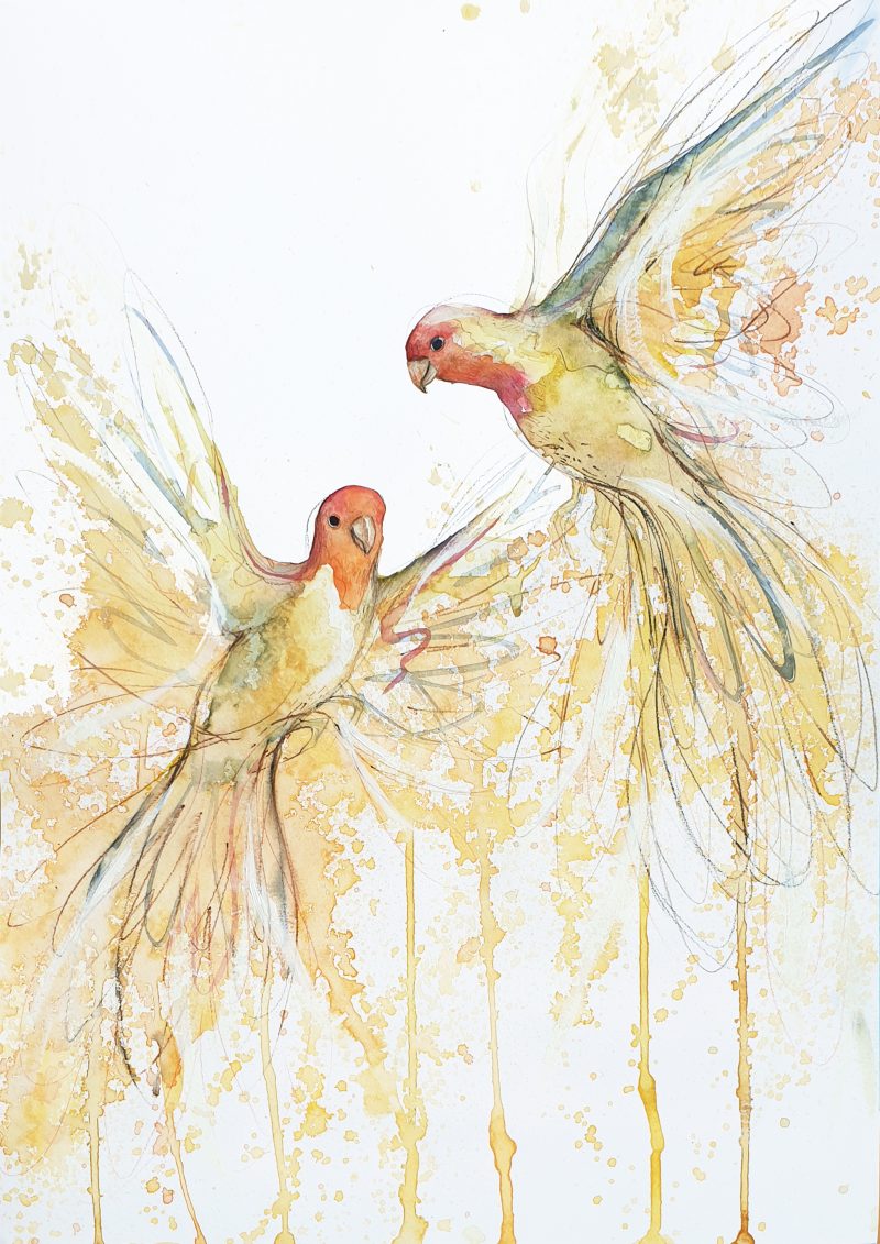 Joy In Flight (Sun Conures Flying)