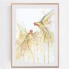 Joy In Flight (sun Conures Flying) Framed Eg Oak Frame
