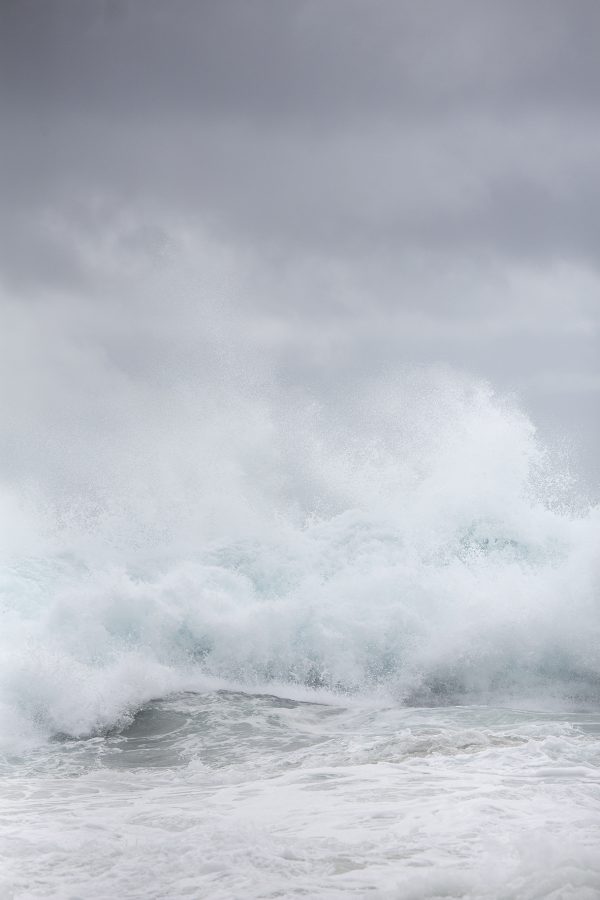 Shell Bankier Photographer And Director