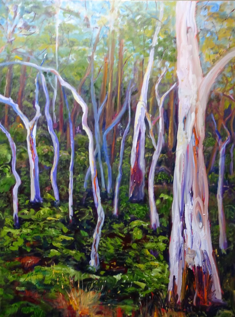 Gum Trees – Norton Summit