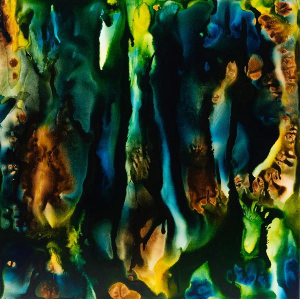 Aqueous Reef Flow Iv Bf 1mb Dpi72