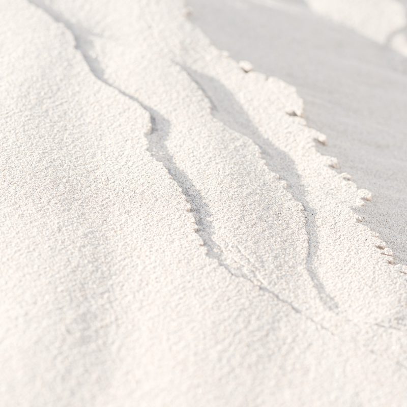 Sand Line Shadows — Ltd Ed Print